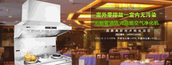 多环油烟净化器